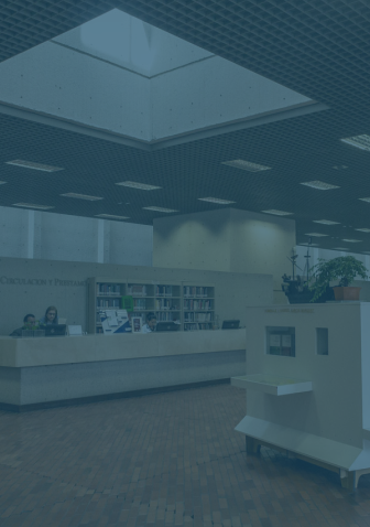 Imagen de la noticia 1