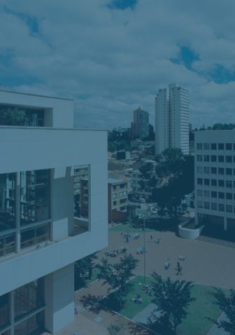 Imagen de la noticia 1