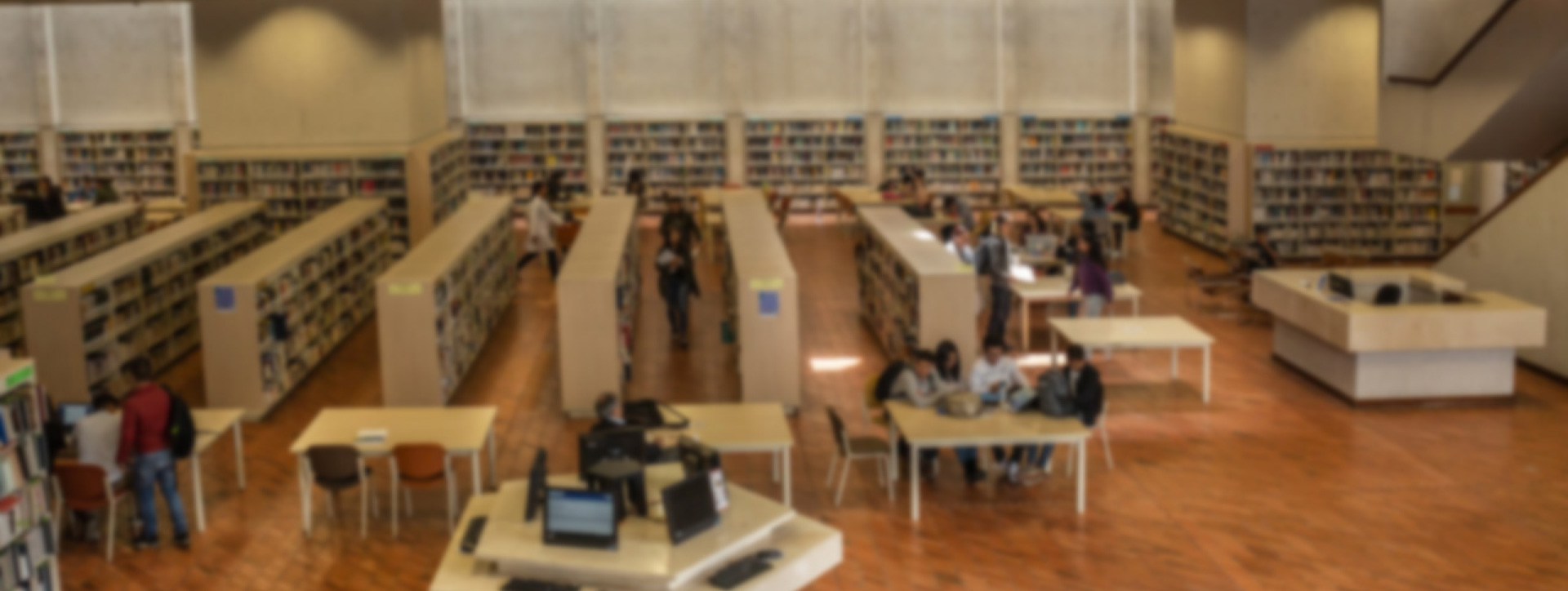 Imagen de la biblioteca